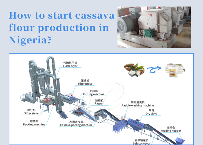 start cassava flour production in Nigeria