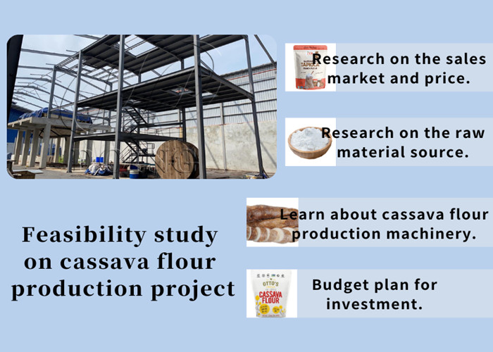 Feasibility study on cassava flour production project