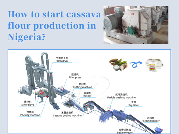 How to start cassava flour production in Nigeria?