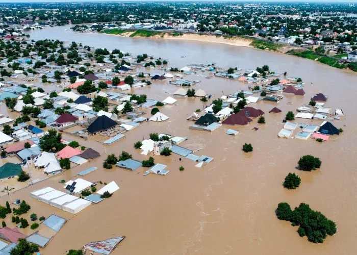 Business Opportunities in Nigerian Food Insecurity triggered by Flood