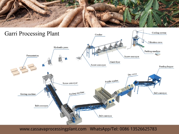 How to turn cassava to garri? What machines do I need?