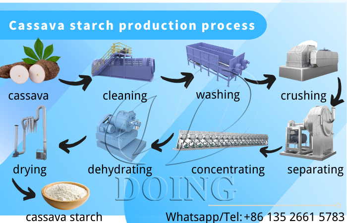 cassava starch processing line