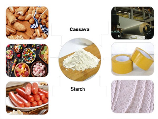 What is cassava starch? And what is cassava starch used for?