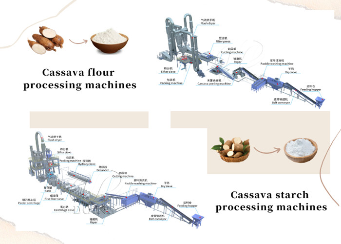 cassava starch processing equipment