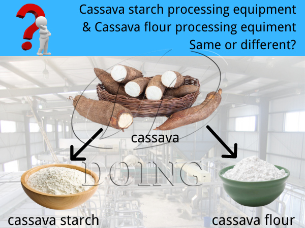 Difference between cassava flour and starch processing line