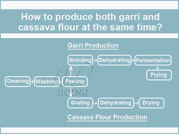 Combined Garri and Cassava Flour Processing Project Successfully Installed in Nigeria Combined Garri and Cassava Flour Processing Project Successfully Installed in Nigeria